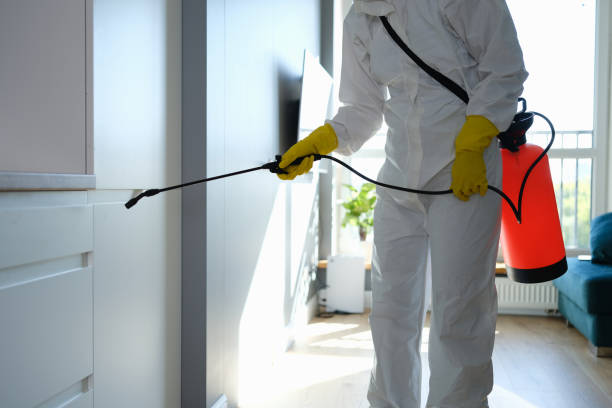 Best Mold Removal Process  in Dunnellon, FL